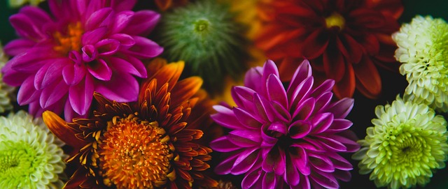 努诺：今天没能获胜很残酷，我们制造了威胁并限制住了对手